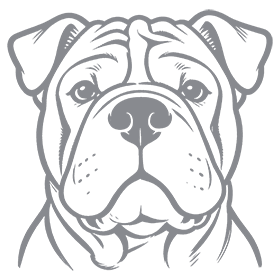 扫一扫加微信-冬隐深川 - 至盈